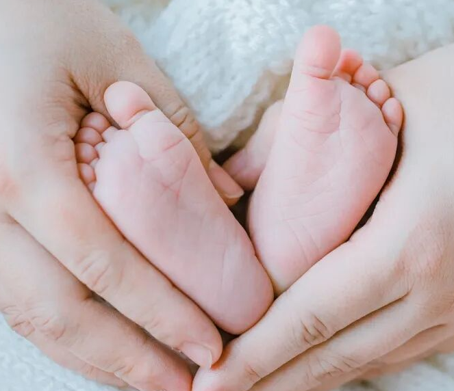 1773998655784195.png 1773998655784195.png